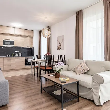 211 / 1 Bedroom / Modern In Center Apartment